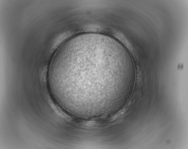 X0000093520058200710261228