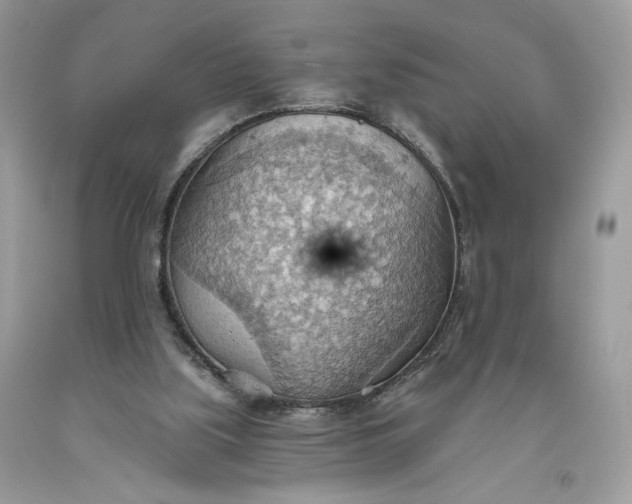 X0000093520059200710261228