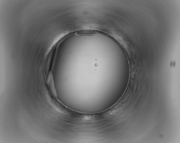 X0000093520060200710261228