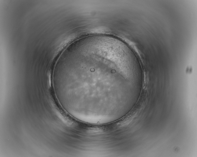 X0000093520061200710261228