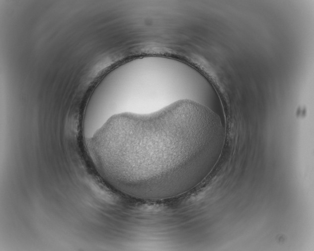 X0000093520063200710261229