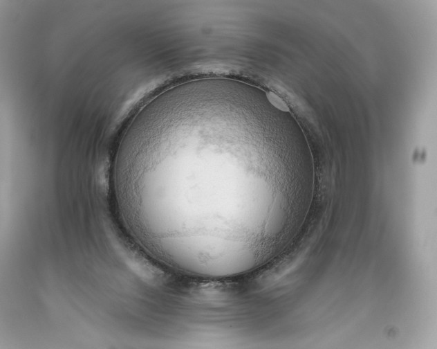 X0000093520064200710261229