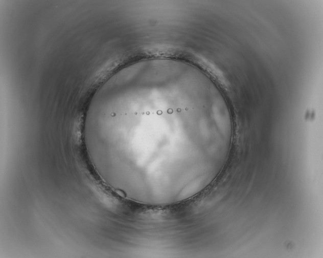 X0000093520065200710261229