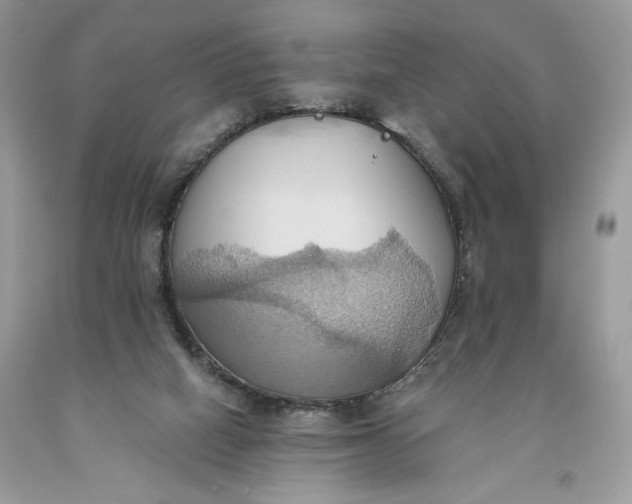 X0000093520066200710261229