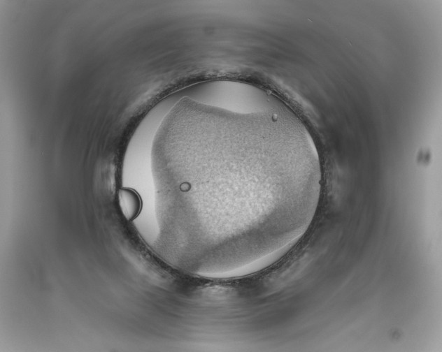 X0000093520067200710261229