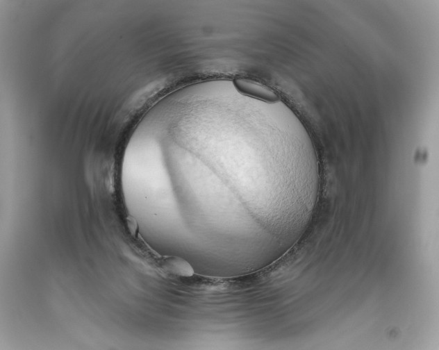 X0000093520068200710261229