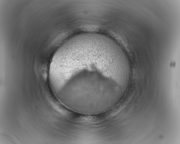 X0000093520069200710261229