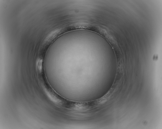 X0000093520070200710261229