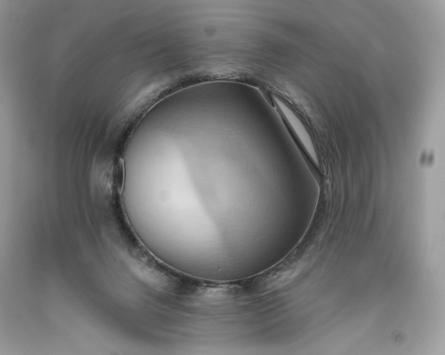 X0000093520072200710261229