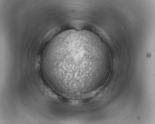 X0000093520073200710261229