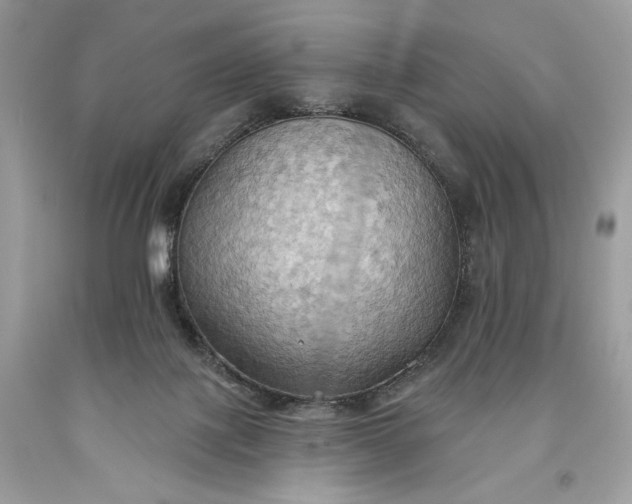 X0000093520075200710261229