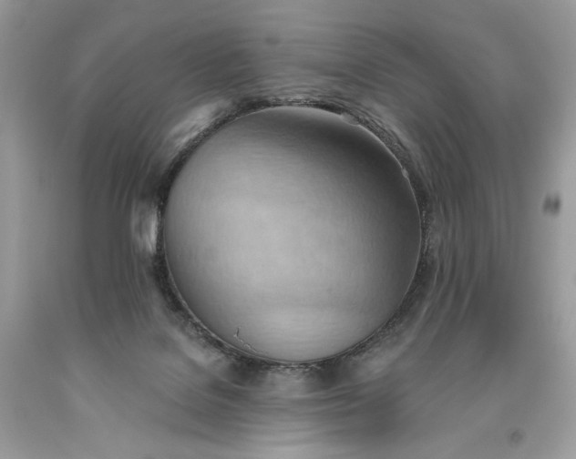 X0000093520076200710261229