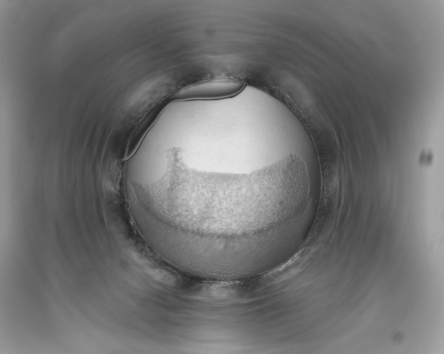 X0000093520078200710261229