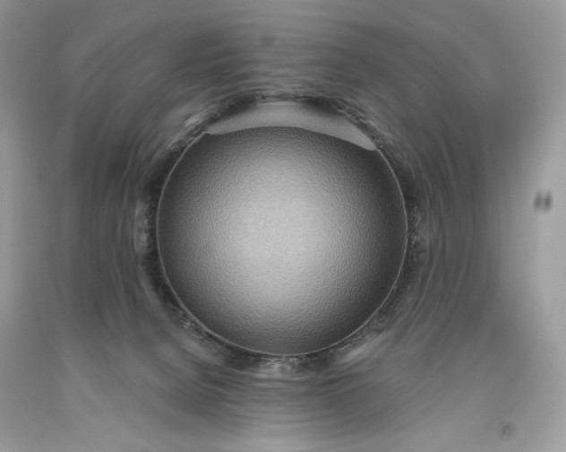 X0000093520080200710261229