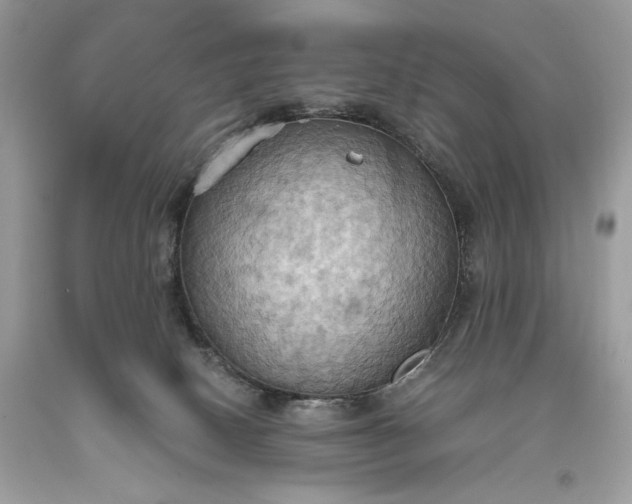 X0000093520082200710261229