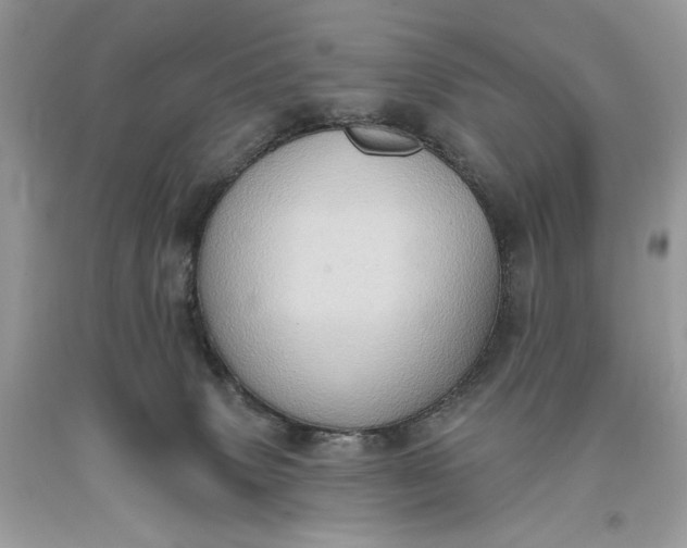 X0000093520083200710261229