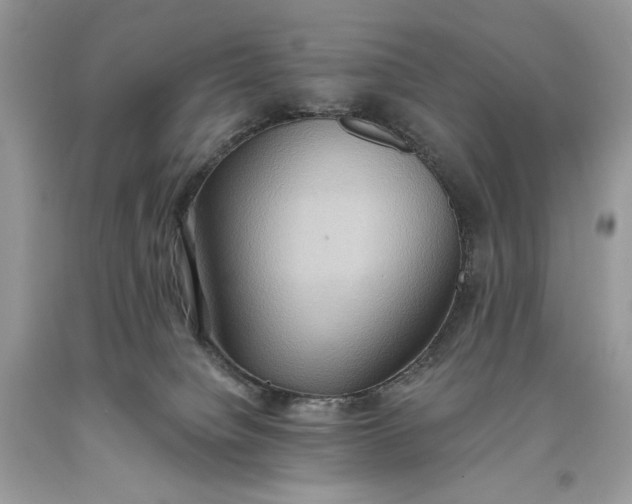 X0000093520084200710261229