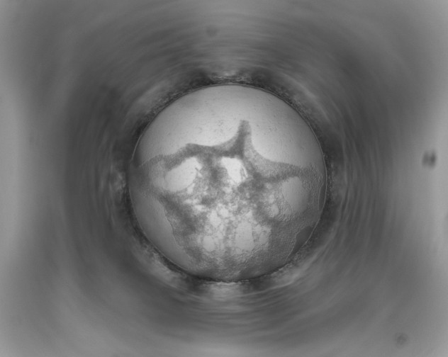 X0000093520085200710261229