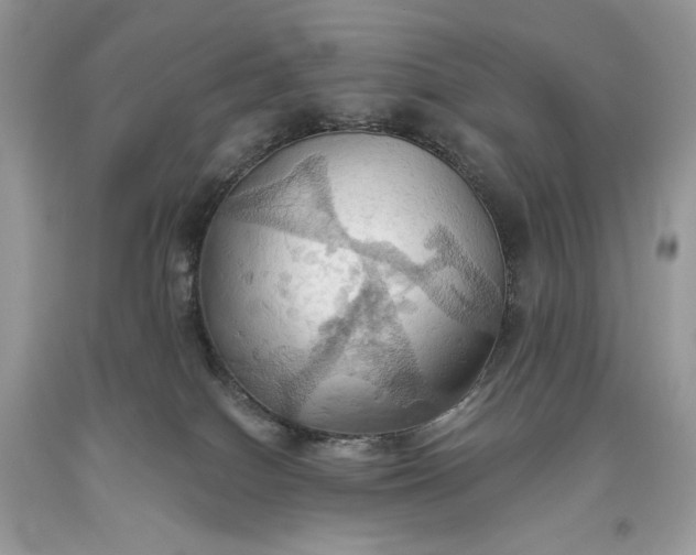 X0000093520086200710261229