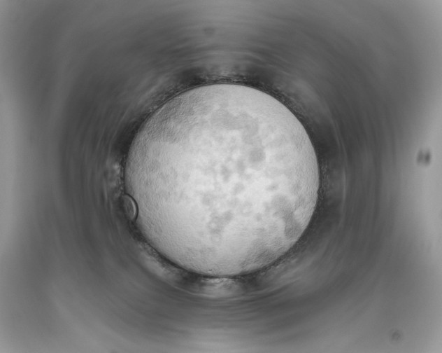 X0000093520087200710261229