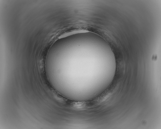 X0000093520088200710261229