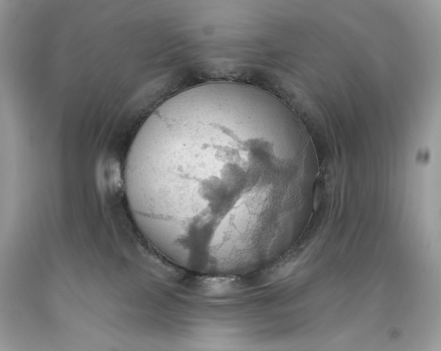 X0000093520089200710261229