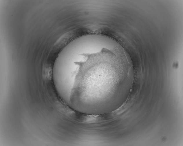 X0000093520090200710261229