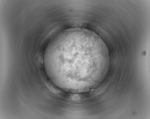 X0000093520091200710261229