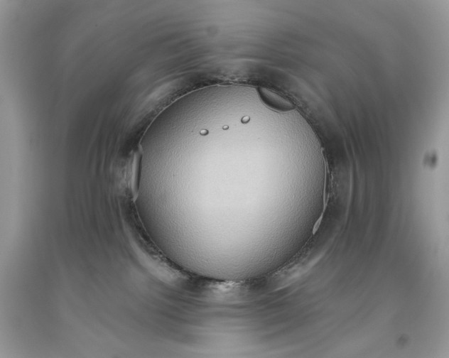 X0000093520092200710261229