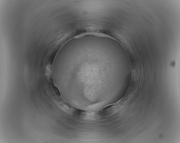 X0000093520093200710261229