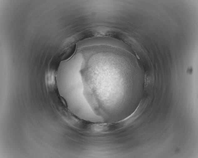 X0000093520094200710261229