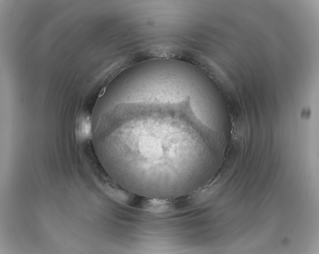 X0000093520095200710261229