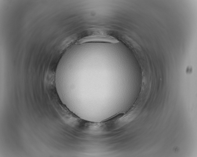 X0000093520096200710261229