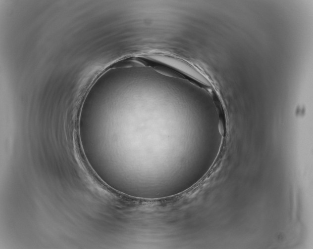 X0000093520097200710261228