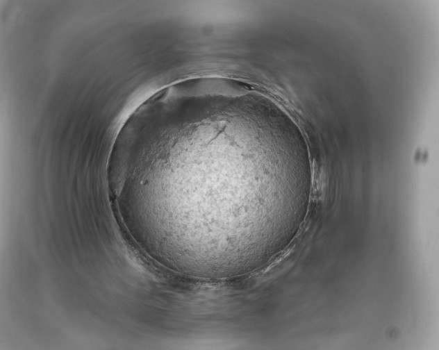 X0000093520099200710261228