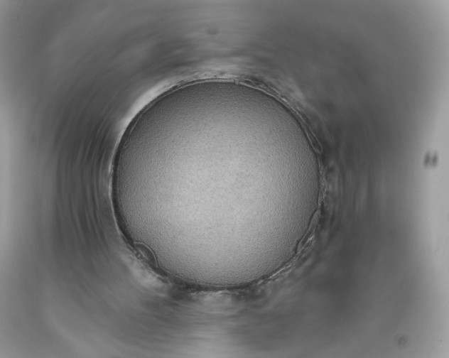 X0000093520100200710261228