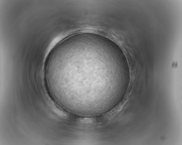 X0000093520102200710261228