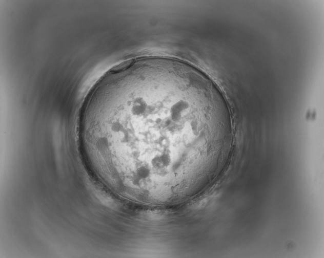 X0000093520103200710261228