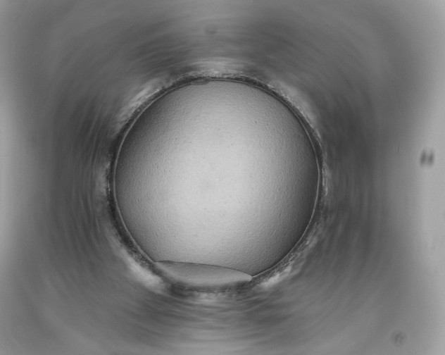 X0000093520105200710261228