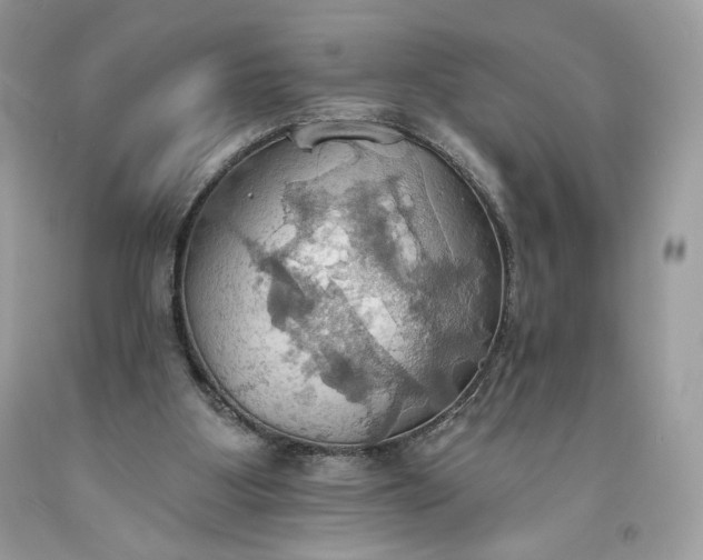 X0000093520107200710261228