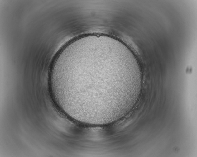 X0000093520108200710261228