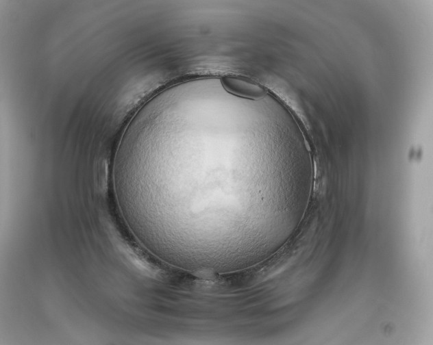 X0000093520109200710261228