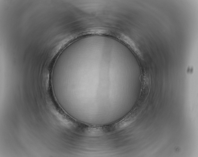 X0000093520110200710261228