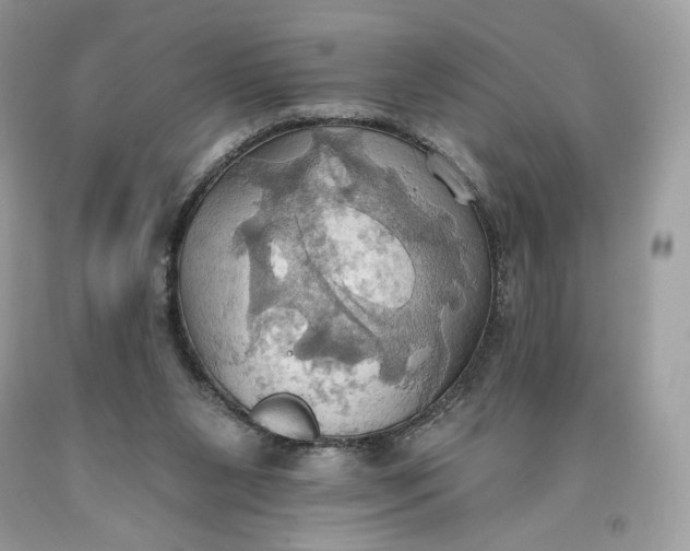 X0000093520111200710261228