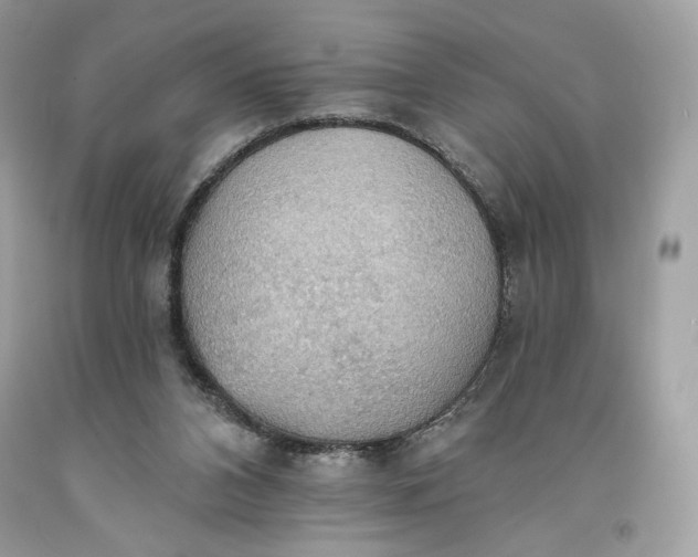 X0000093520112200710261228