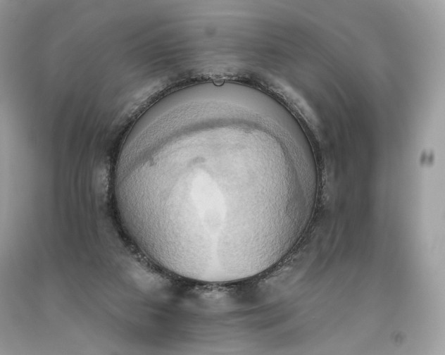 X0000093520113200710261228