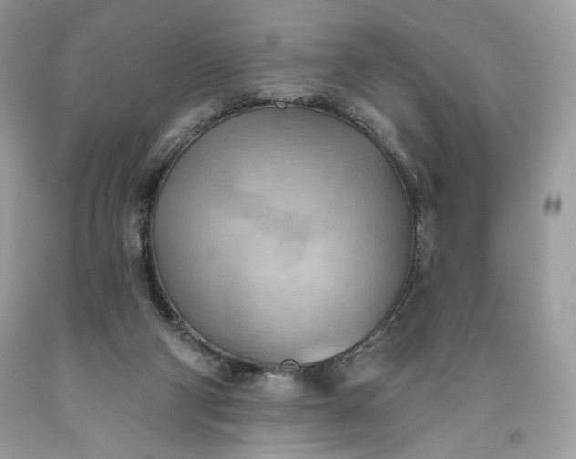 X0000093520114200710261228