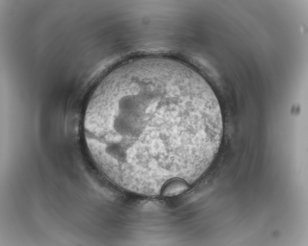 X0000093520115200710261228