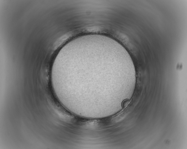 X0000093520116200710261228