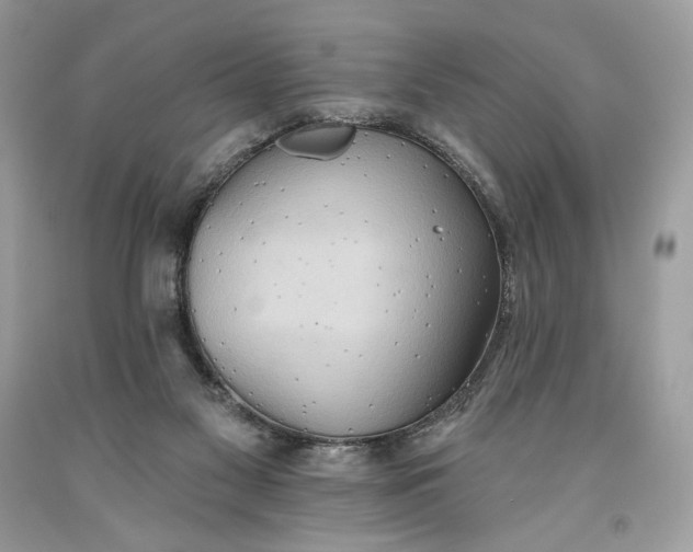 X0000093520117200710261228